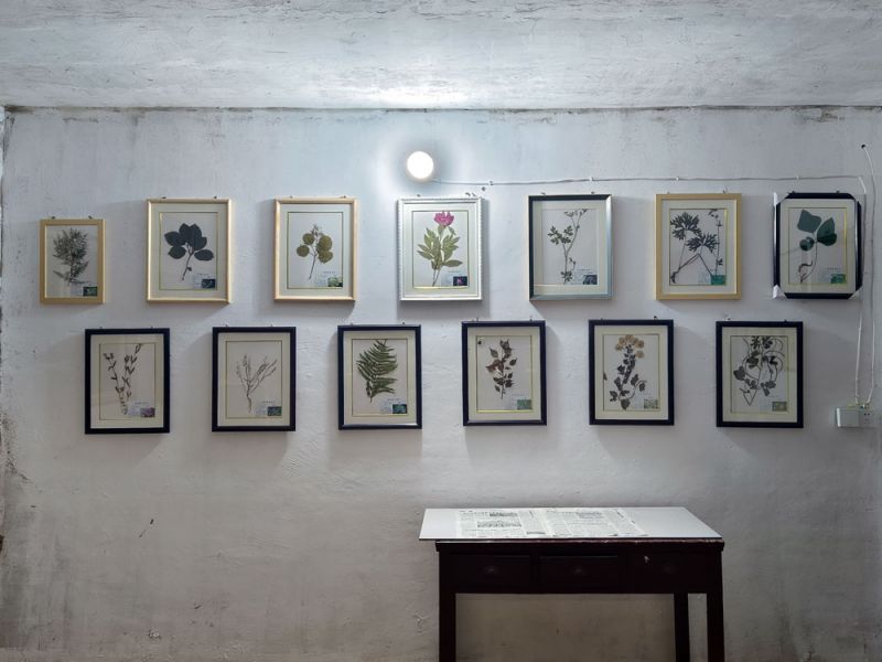 樣品展示廳
