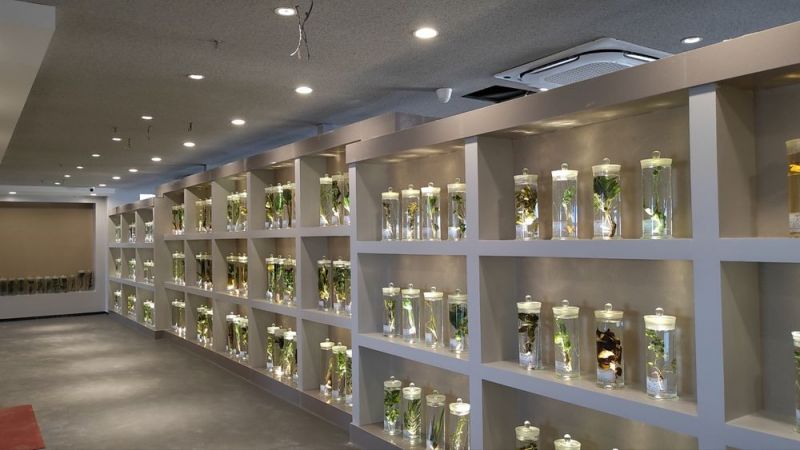 標(biāo)本展覽館